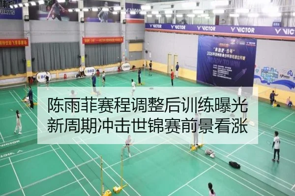 陈雨菲赛程调整后训练曝光 新周期冲击世锦赛前景看涨